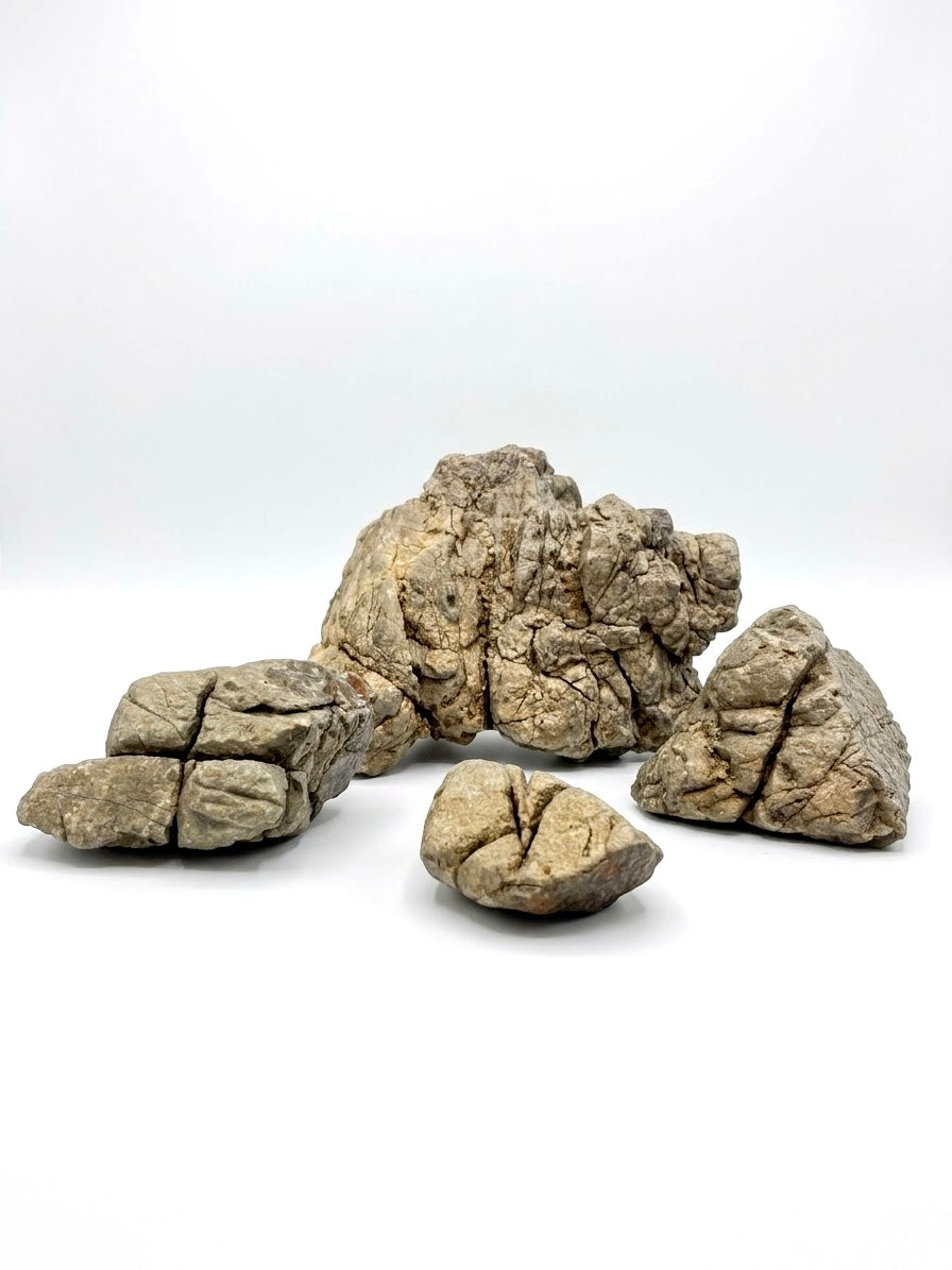 Millenium stone