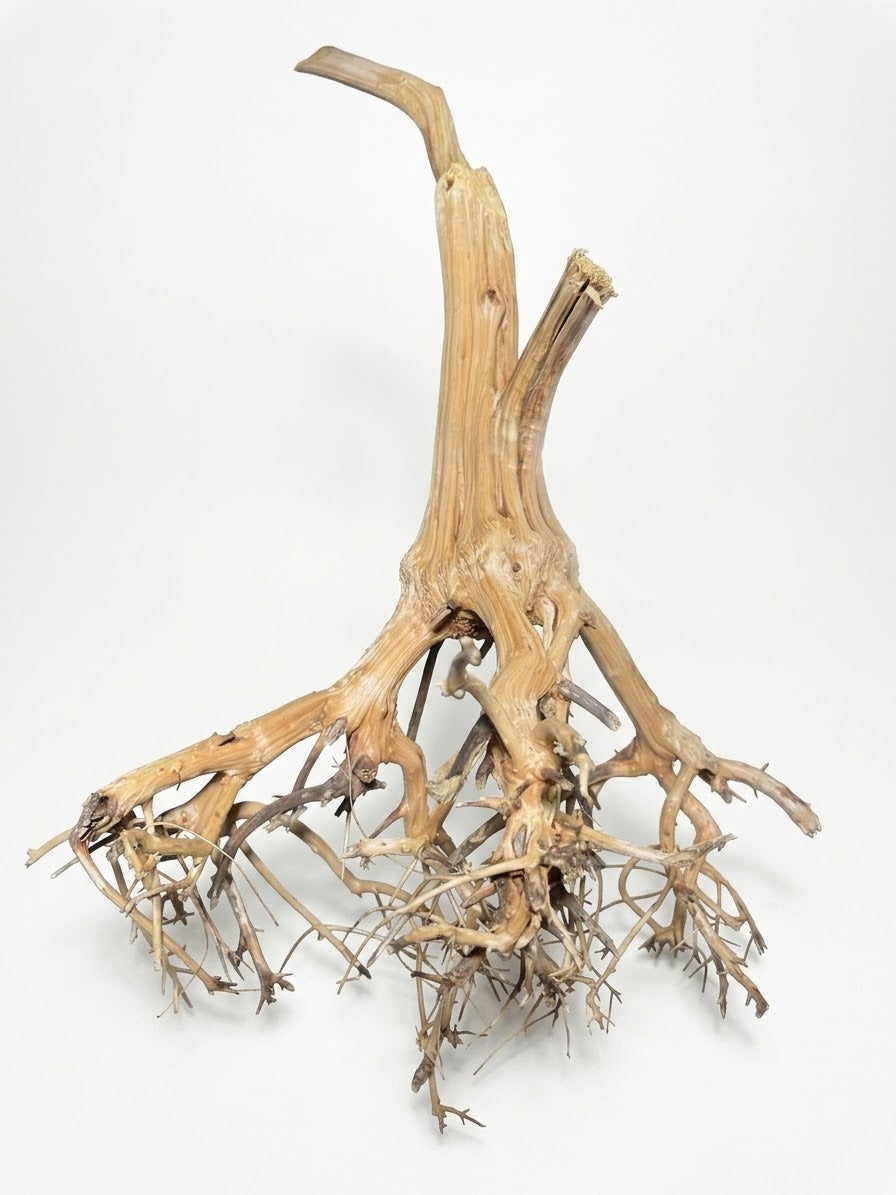 Rebel Wood