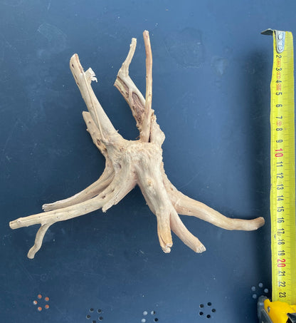 Racine WYSIWYG 10