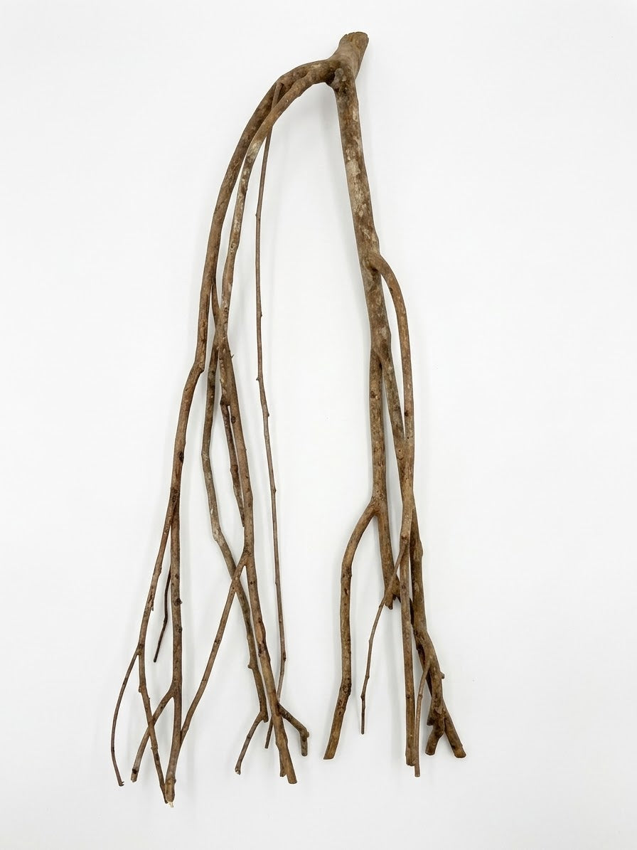 Bois de Talawa – 40 à 50 cm