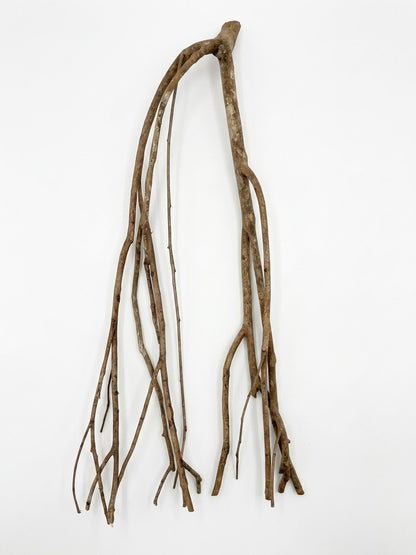 Bois de Talawa – 40 à 50 cm