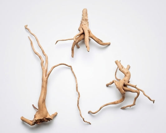 Spiderwood 20-25cm aquarium/terrarium