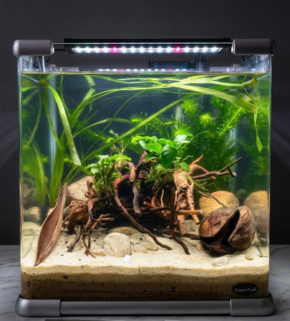 Racine Spiderwood Aquarium 8-15cm