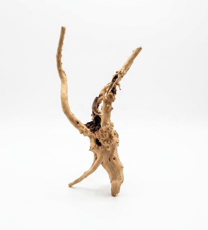Racine Spiderwood Aquarium 8-15cm